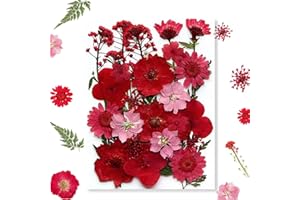 MUCBAFLY Flowers for Resin Model, Real Pressed Flowers Dry Leaves Bulk Natural Herbs Kit for Scrapbooking DIY Art Crafts, Epoxy Jewelry, Candle, Soap Making, Nails Decor (Red)