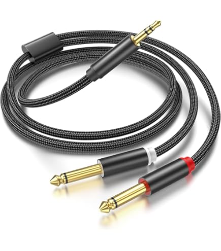 Amazon.com: 3.5mm to RCA, 1/4 TRS to Dual RCA Cable, 2-in-1 Audio