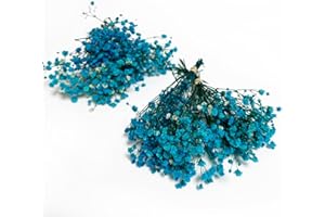 Birtlynn 6Pcs Preserved Baby's Breath, Mini Size Bouquets 100% Natrual Gypsophila Long Lasting Flowers for Vase Home Decoration Photo Props Parties Weddings Card Making Crafts Floral, DIY Décor-Blue