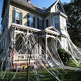 CHICIEVE 300g Halloween Spider Webs Stretchable Halloween Decorations Cobwebs for Halloween Decor Indoor and Outdoor,Cover 1000 Square Feet