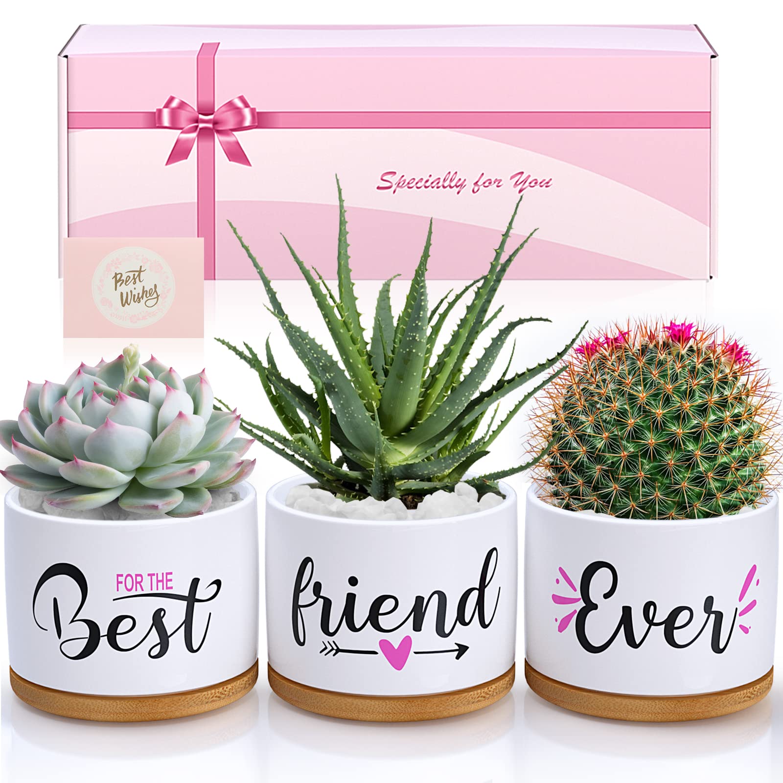 Best Friend Birthday Gifts for Women, BFF Friendship Gifts for Women & Men, Best Friend Ever Succulent Pots for Plants Indoor Outdoor, Gift Boxed Ceramic Planter Gift Set for Friends Female Bestie