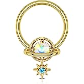 Melighting Septum Rings 16G Planet Septum Jewelry Surgical Steel Daith Piercing Jewelry Clear CZ Hinged Segment Helix Earrings Cartilage Piercing Jewelry Women