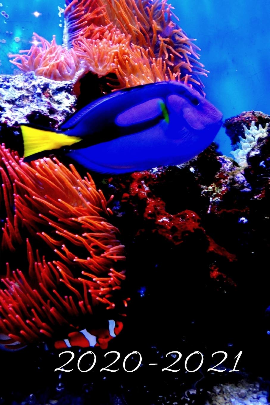 royal tropical fish
