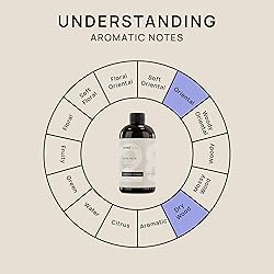 VINEVIDA [16 Fl Oz] Coffee Latte Fragrance Oil for
