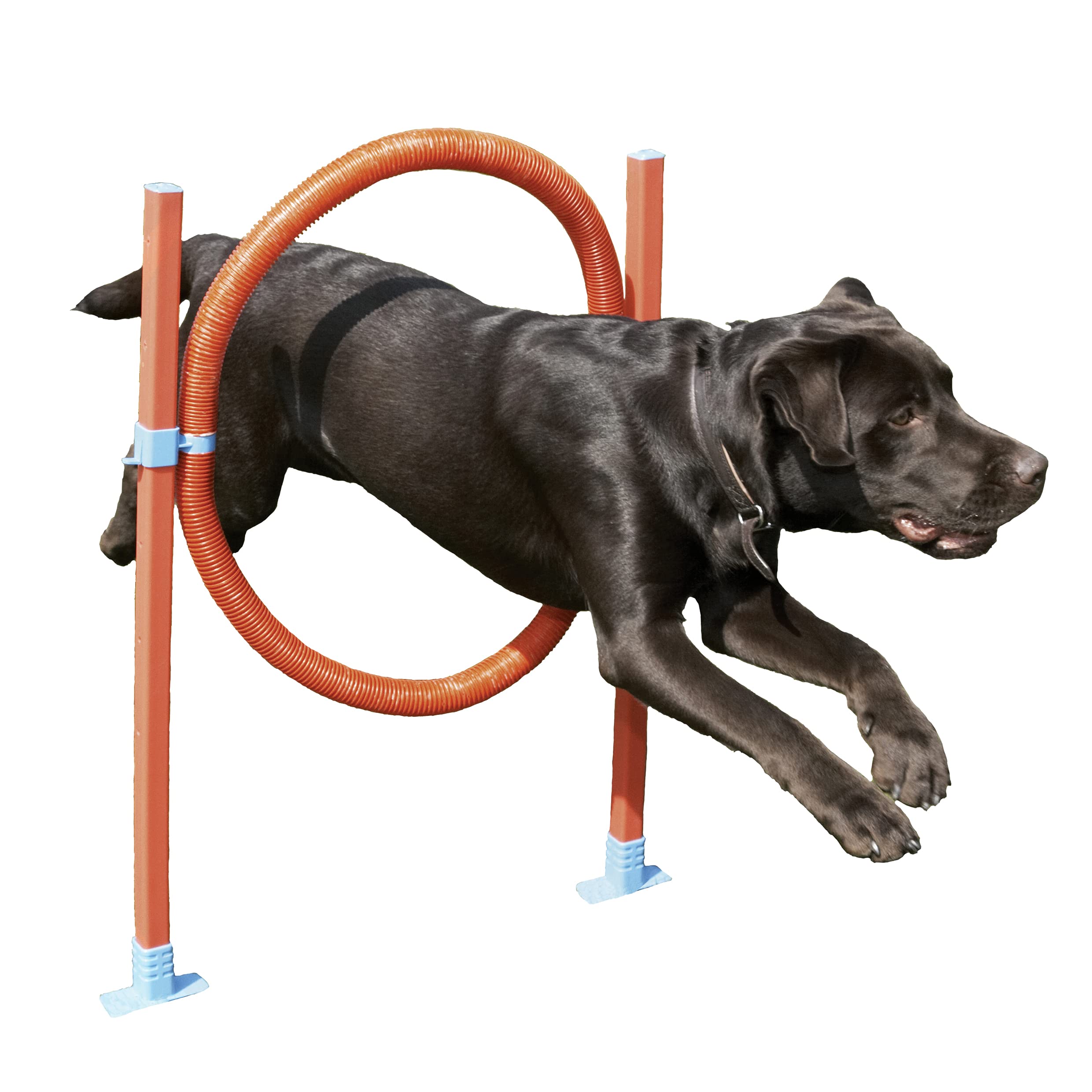 AGILITY HOOP JUMP W/BAG