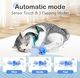 Migipaws Interactive Flapping Bird Cat Toy with Catnip USB Rechargeable view 2