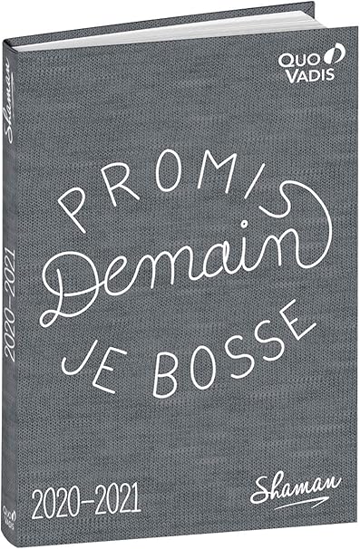 Quo Vadis Shaman Textagenda Agenda Scolaire Journalier 12x17cm Demain Je Bosse Annee 2020 2021 Amazon Fr Fournitures De Bureau