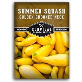 Crookneck Squash Seeds for Planting - 1 Pack | Heirloom Non-GMO Summer Variety, High Yield, Fast-Growing Vegetable, Easy to Grow - Survival Garden Seeds
