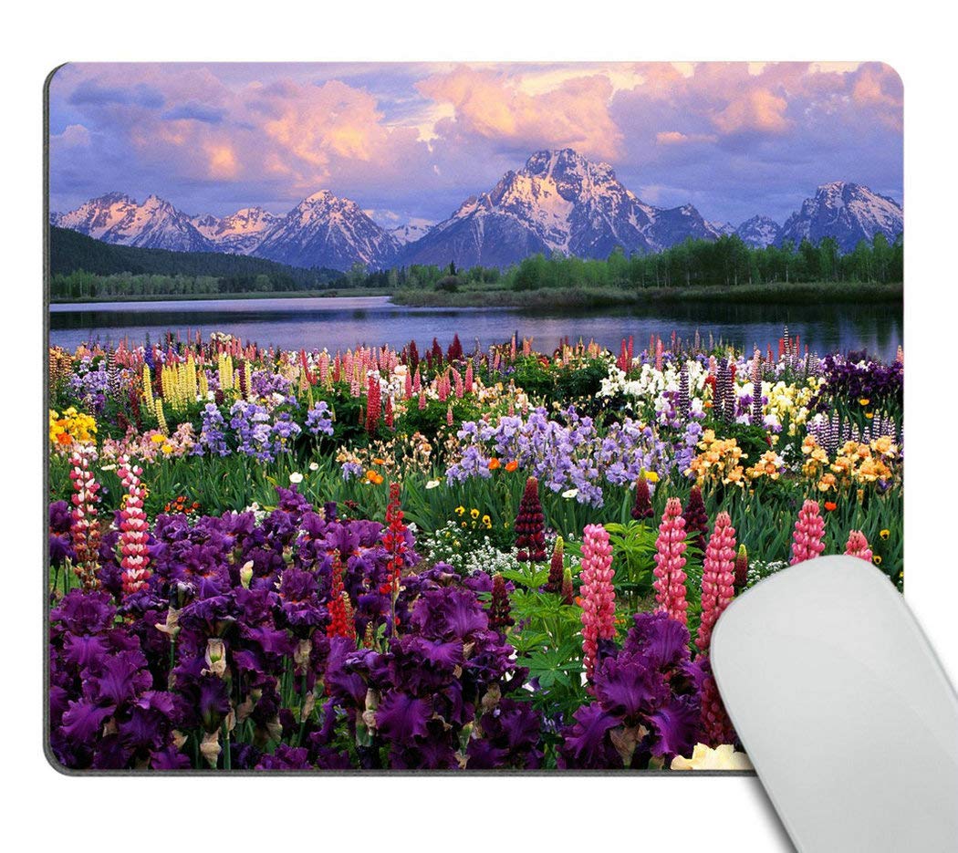 Wasach Beautiful Flowers Mountain Sky Water Mouse Pads Customized, Eco Friendly Cloth with Neoprene Rubber Mouse Pad Desktop Mousepad Laptop Mousepads Comfortable Comput
