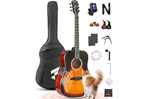 Fesley X Acoustic Guitar Kit, 41 Inch Full Size 6 String Guitarra Acústica for Beginner Adults with Tuner, Gig Bag, Strap, Steel Strings, Capo, Pickguard, Picks, FD60, Sunburst
