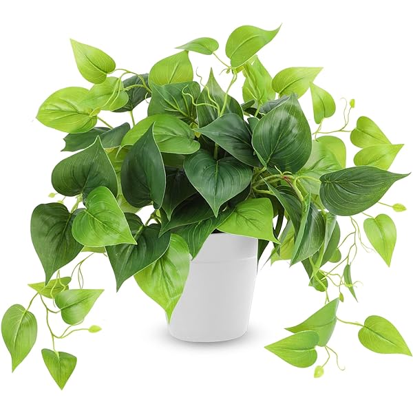 junk style (洋書) Melanie Molesorth Junk Style: Melanie Molesworth: 0789112057163: Amazon.com: Books