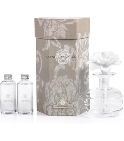 セクレ　ド　ローズ　 50ml Amazon.com: Zodax Seychelles Porcelain Scented Diffuser