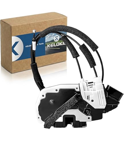 Amazon.com: CUB CADET 503-00833 Right Left Hand Side Door Lock