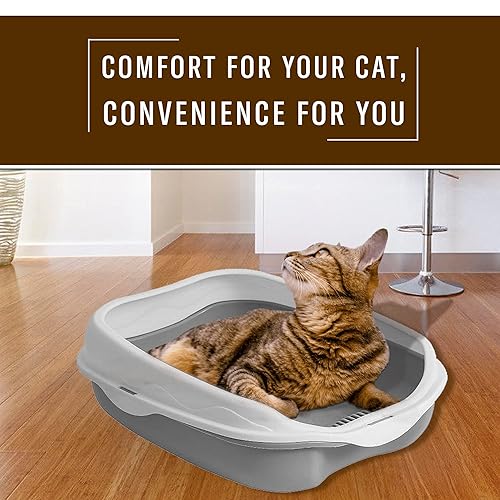 Cat Litter Box with Scoop Open Top, High Sided Litter Box for