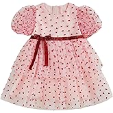 Kids Toddler Baby Girl Valentines Outfit Tulle Heart Dress Short Sleeve Pink Lace Layered Dress Princess Dress