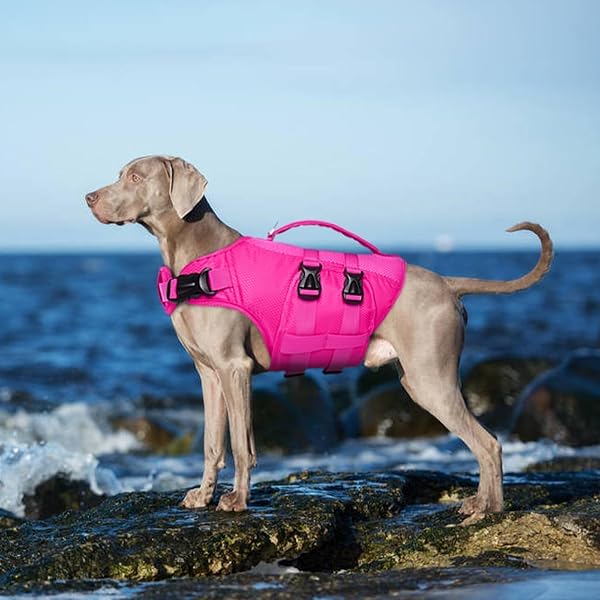 KUOSER DOG LIFE JACKET, XXL DOG LIFE VEST FOR SWIMMING BOATING, REFLECTIVE DOGGIE SWIMMING VEST PET SWIM PRESERVER WITH RESCUE HANDLE, ROSERED XXL