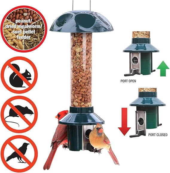 Roamwild PestOff Squirrel Proof Bird Feeder Peanut / Suet Pellet / Wild