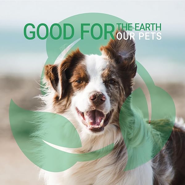 GREEN GROOM GREEN CLEAN DOG SHAMPOO, 1 GALLON – PLANT BASED INGREDIENTS, 50:1 CONCENTRATED, MOISTURIZES DRY ITCHY SENSITIVE SKIN, ANTIOXIDANT RICH, PROFESSIONAL GRADE