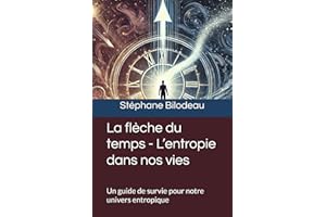 La flèche du temps - L’entropie dans nos vies: Un guide de survie pour notre univers entropique
