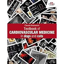 Cardiac Arrhythmias in Dogs and Cats: Mechanisms, Diagnosis and