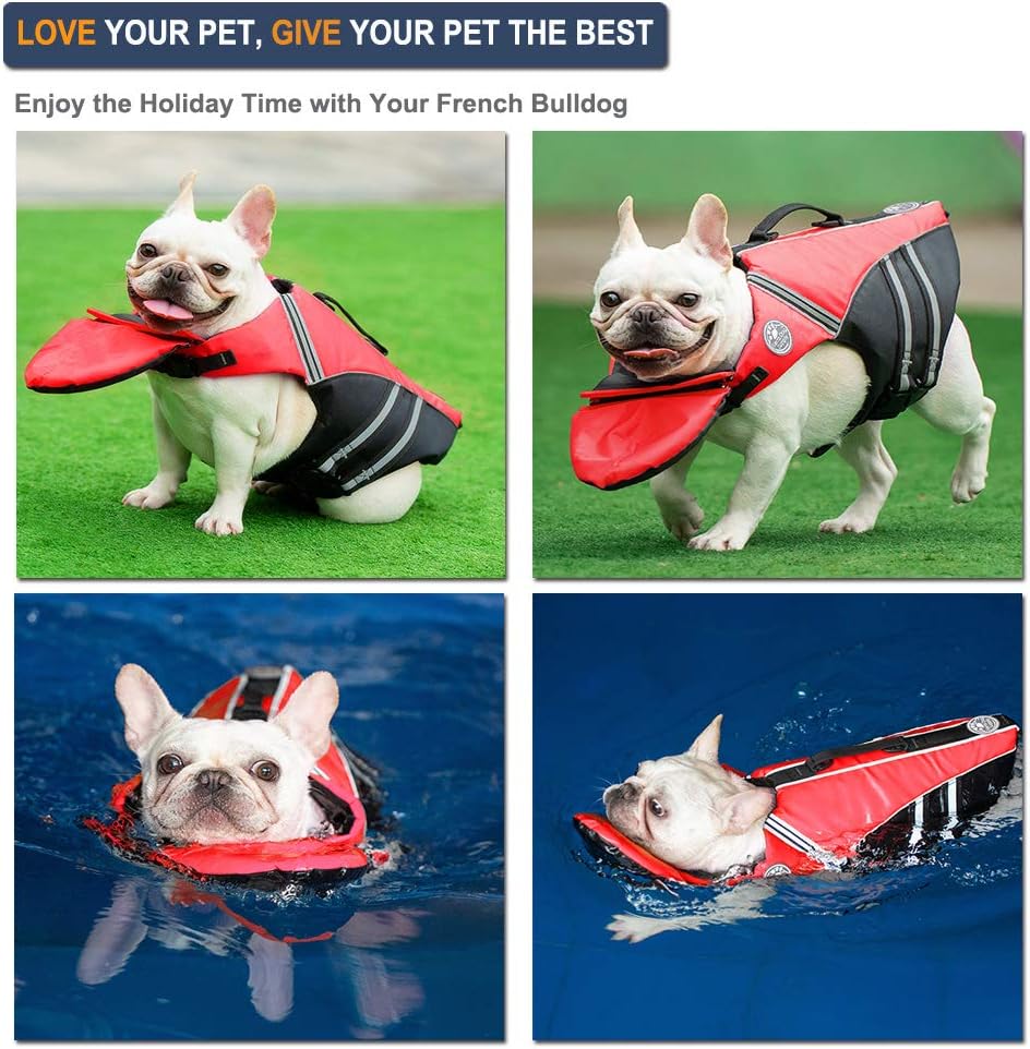 french bulldog life jacket amazon