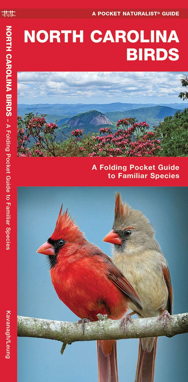 North Carolina Birds A Folding Pocket Guide To Familiar Species