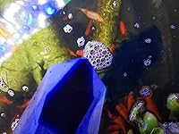 Review Image by Tina Wilson Tina Wilson