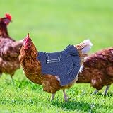 Sonhomay 3 Pack Chicken Saddle Hen Apron Wing Protector Feather Regrowth view 5