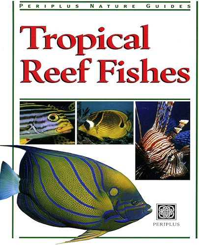Download Tropical Reef Fishes: Periplus Nature Guide (Periplus Nature Guides) (English Edition) PDF