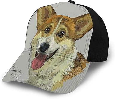 grey welsh corgi