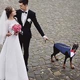 PUMYPOREITY Dog Tuxedo and Bandana Set Blue Size S view 5
