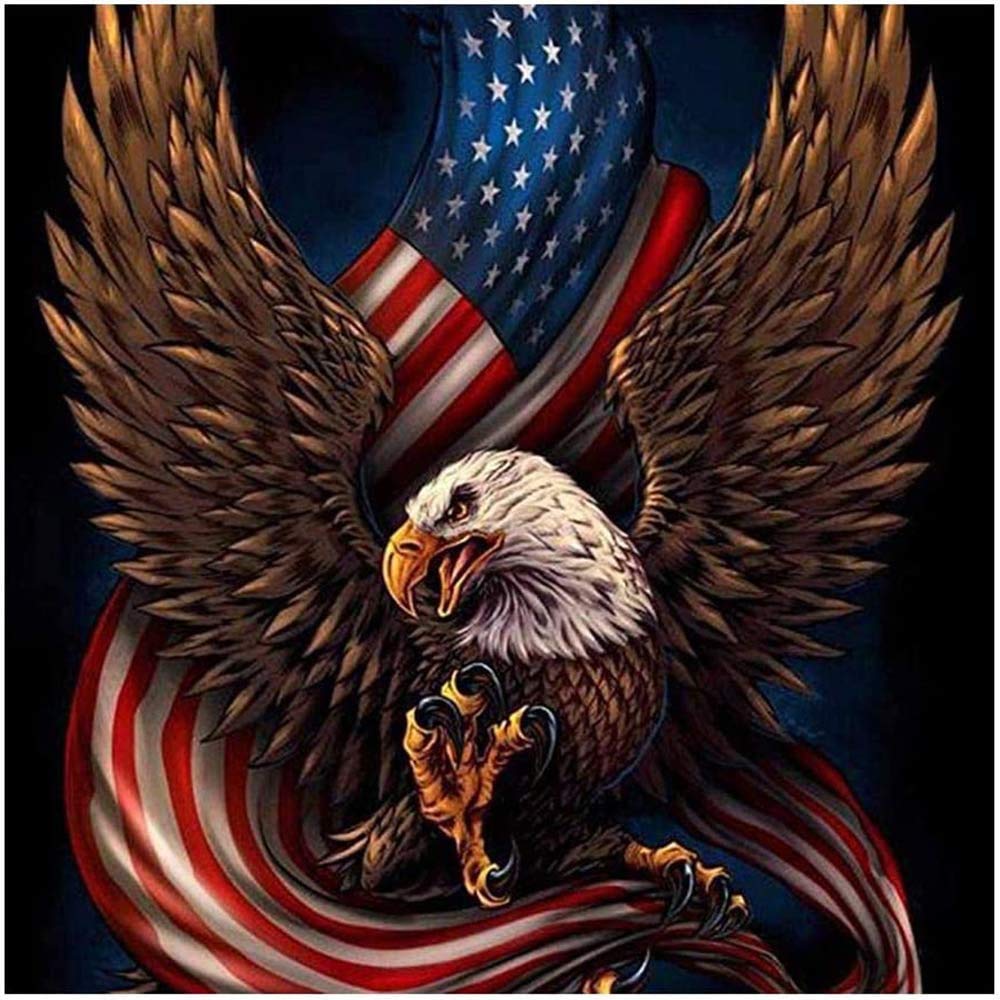 Cross Stitch Kits Stamped, OWN4B Eagle and Flag Printed Pattern 11CT 14.2x14.2 inch DIY Embroidery Kit (Eagle)