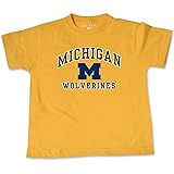NCAA Michigan Wolverines Toddler Short Sleeve