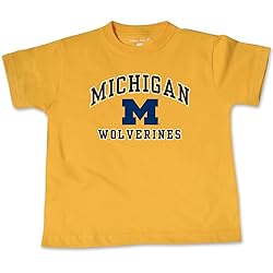 NCAA Michigan Wolverines Toddler Short Sleeve