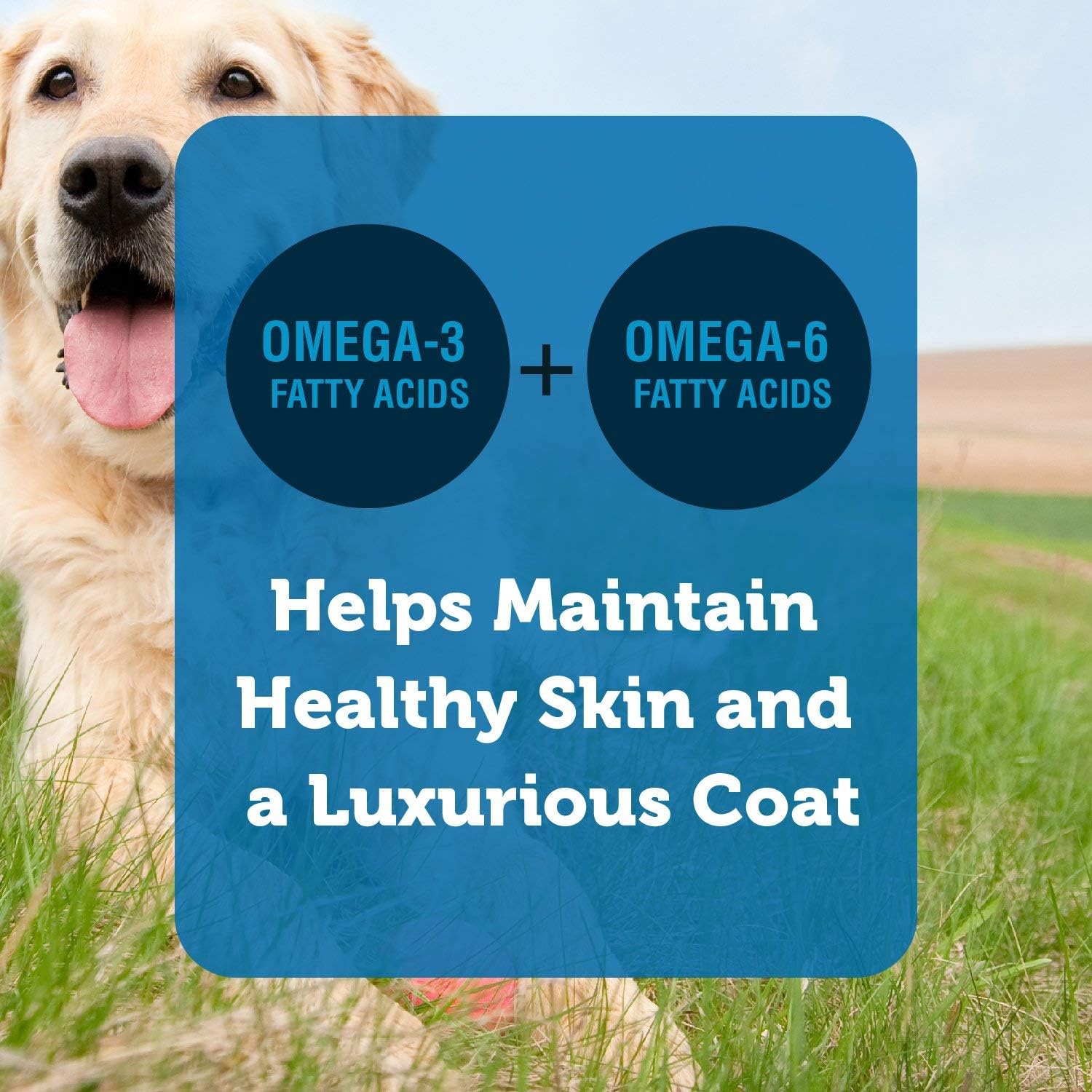 natural balance lamb and rice small bites