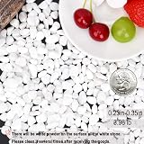 Hisredsun White Decorative Stones 3.96 lb 0.23-0.35in Natural Gravel Rocks view 2