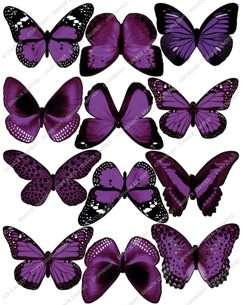 12 x PRECUT Purple Edible Butterfly Cake Toppers Amazon.co