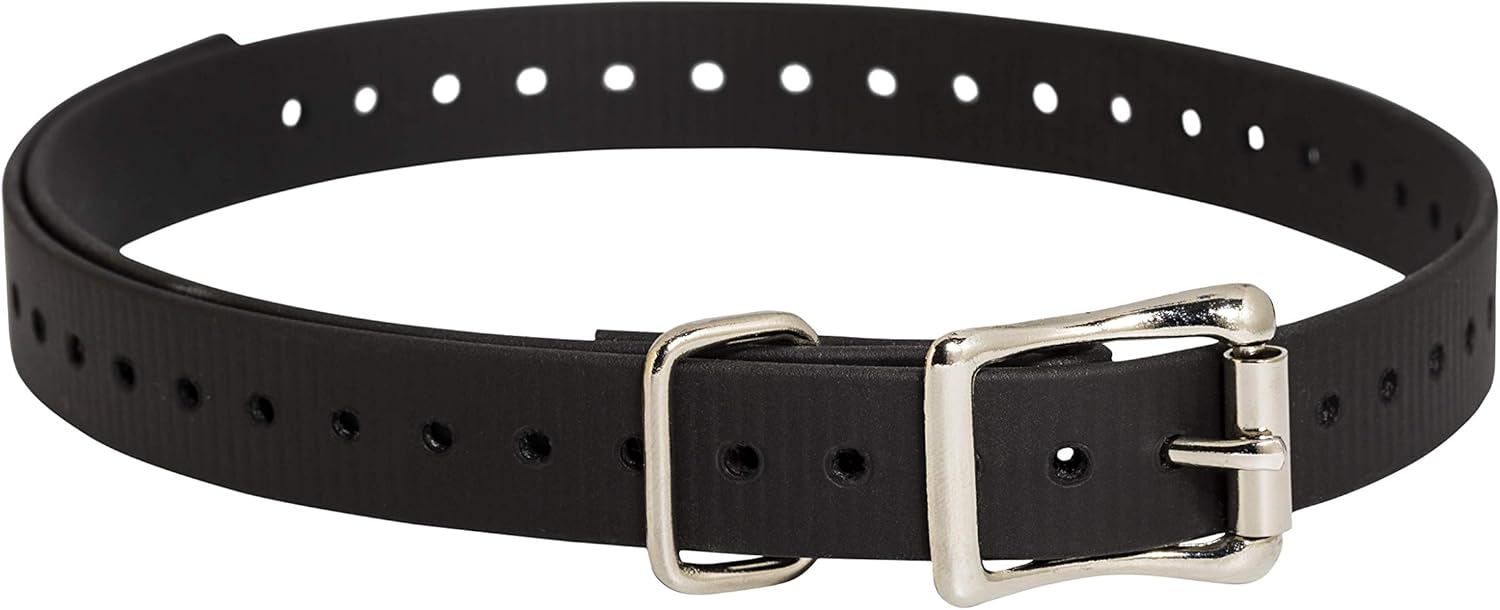 sportdog replacement collar strap
