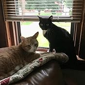 nurturecalm cat collar review