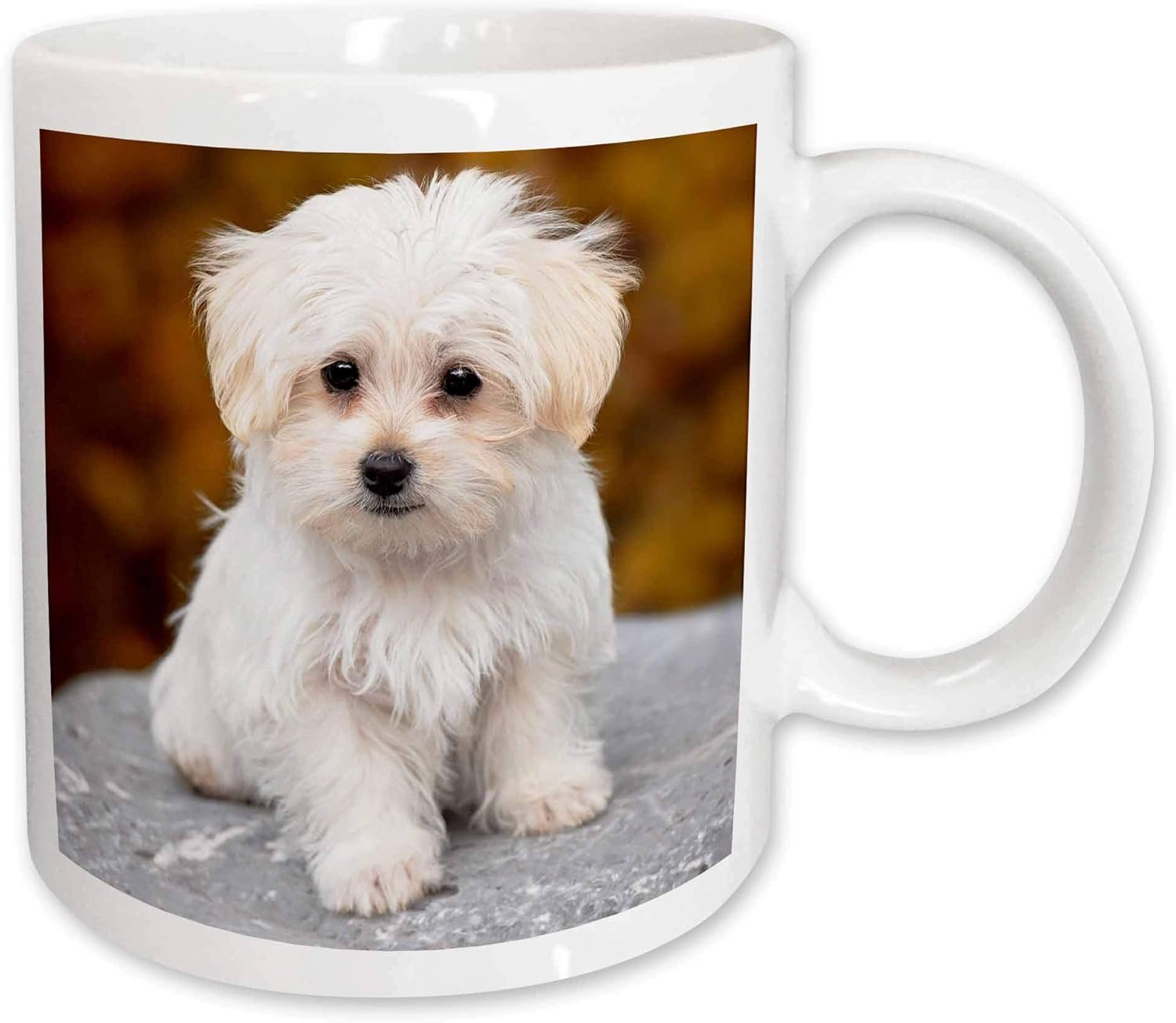 maltese mug