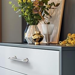 HESTIA HARDWARE 10 Pack Polished Nickel Cabinet