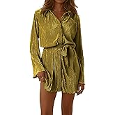 LYANER Women's Collar V Neck Button Down Pleated Long Sleeve Mini Shirt Dress with Belt