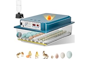 Loyfoly Incubators for Hatching Eggs, 36 Egg Incubator with Automatic Egg Turning and Humidity Control, Chicken, Duck, Goose, Bird, Quail, Incubator for Farm, Lab, Home（Blue）