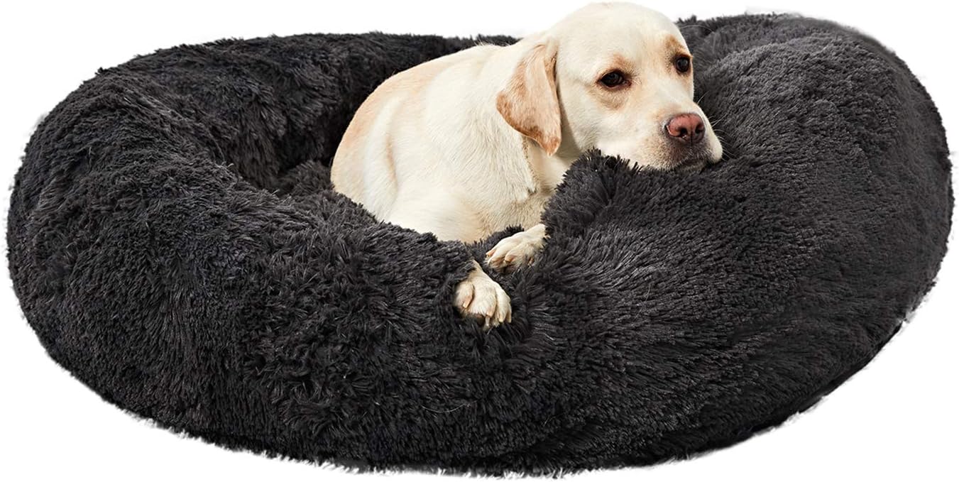 comfy dog beds for large dogs