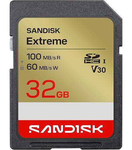 Amazon.com: Sony SDHC Card 32 GB SF-32N4 (Black) : Electronics