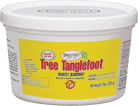 Amazon Com Tanglefoot Tree Insect Barrier Tub Insect Traps Garden Outdoor