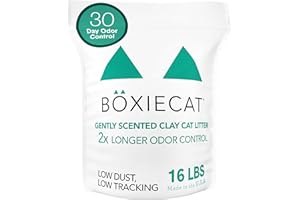 BOXIECAT Boxie Gently Scented Cat Litter, 30-Day Odor Control, Clumping Clay, 16lb