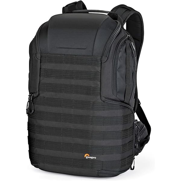Amazon.com: Lowepro ProTactic BP 350 AW II 16L Green Line Camera