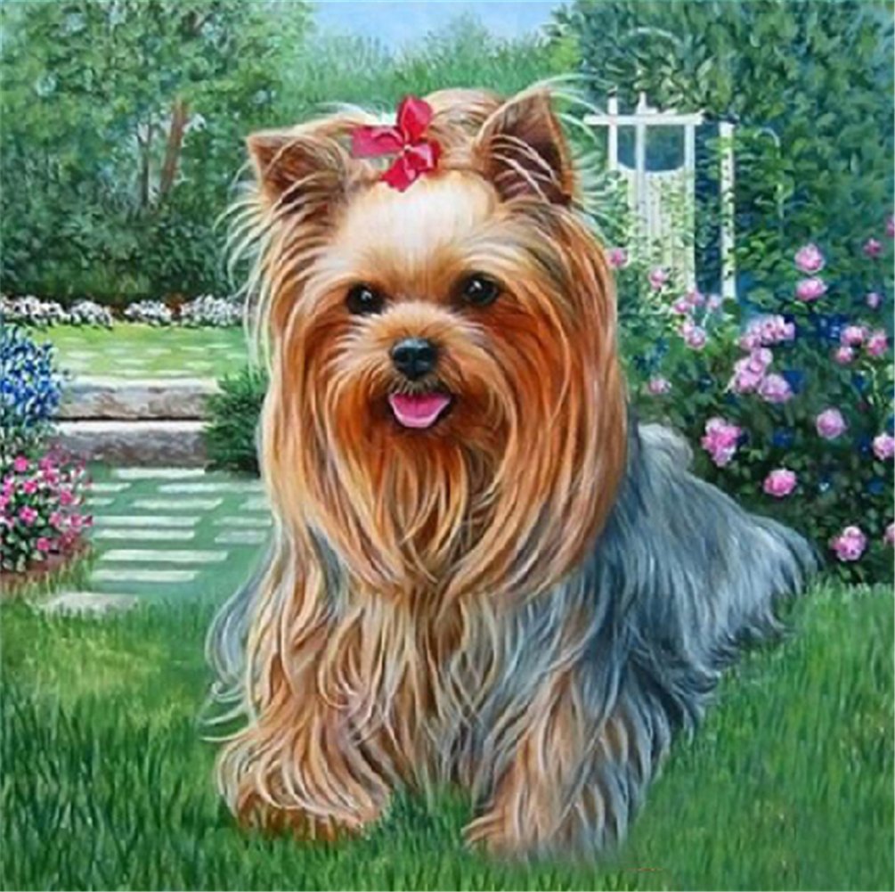 YEESAM ART DIY 5D Diamond Painting Kits for Adults - Dog Flowers Garden 25x25cm - DIY Crystals Diamond Rhinestone Painting Pasted Paint by Number Kits Cross Stitch Embroidery
