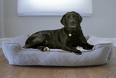 arlee memory foam dog bed